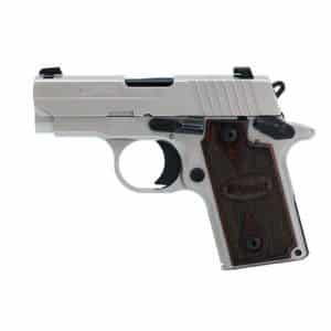 Sig Sauer P238 380 Concealed Carry Pistol